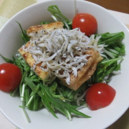 カリっと焼いた厚揚げとシャキッとした水菜の食感がイイですね！
たっぷりしらすの塩味も程よく、美味しくいただきました♪